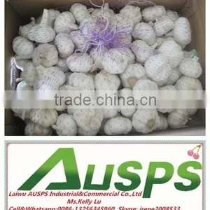 China Fresh Yellow Holland Potato thumbnail-5
