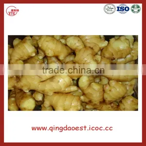 Chinese Fresh Ginger thumbnail-2