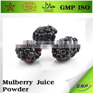 Mulberry Juice ISO Bulk Fruit Juice Powder thumbnail-2