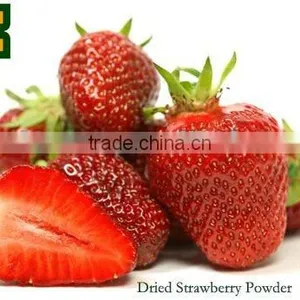 Sell 100% Natural Dried Strawberry Powder in 5:1&10:1 With High Quality thumbnail-1