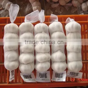 New Crop Fresh Garlic thumbnail-1