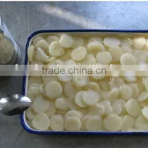 Wholesale Canned Food Canned Water Chestnuts thumbnail-1