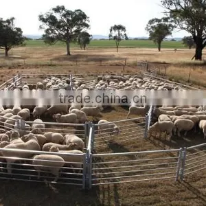 Farm Tractor Trailer Sheep Trailer thumbnail-3