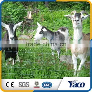 2016 New Type Metal Fence T Post For Farming thumbnail-6