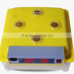 TD-48 Full Automatic Mini Incubator for Parrot thumbnail-4