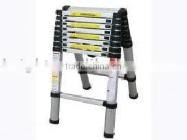 Folding Ladder thumbnail-1