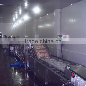 Automatic Industrial Washing Machine Vegetable Washer thumbnail-1