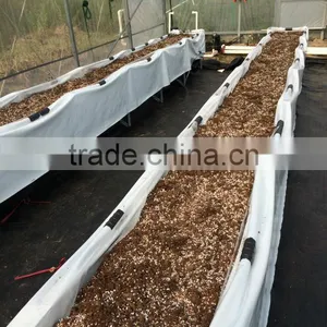 Polycarbonate Greenhouse Vegetable Seeds Greenhouse thumbnail-1