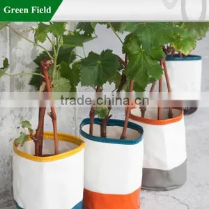 Green Field Colorful Canvas Grow Bag Planter,Unique Colorful Canvas Grow Bag Planter thumbnail-1