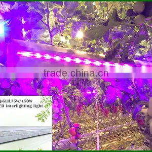 Double-side Emitting 75W LED Grow Light Bar Vegetable Shortening thumbnail-2