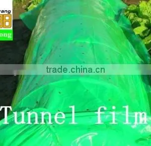 70micorn Thickness PE Plastic Tomato Plant Cover for Agricultural Use thumbnail-2