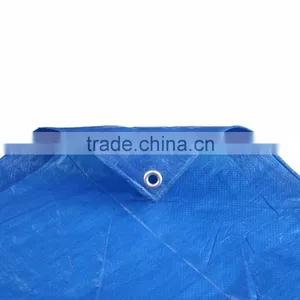 Greenhouse Floor Covering thumbnail-6