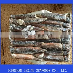 Illex Squid Seafrozen thumbnail-1