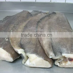 Halibut thumbnail-2