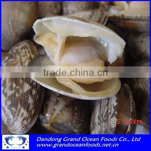 Canned Baby Clam thumbnail-1