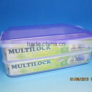2 Tier Multi Purpose Container thumbnail-1