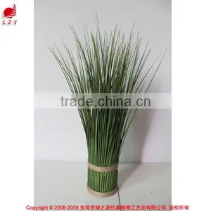 Hotsales Natural Cylinder Onion Grass for Garden Decoraction thumbnail-2
