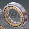 UBC Cylindrical Roller Bearings Series thumbnail-1