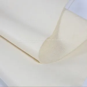 High Temperature Resistant PPS Coated PTFE Filter Cloth Fabric for Thermal Power Plant thumbnail-2