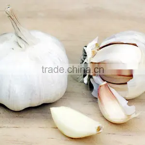 Garlic thumbnail-2