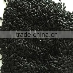 Black Rice thumbnail-1