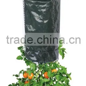 Garden Upside Down Tomato Planter thumbnail-1
