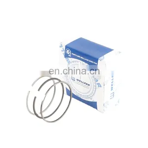 Wellfar French Car 206 Auto Parts 75mm Piston Rings For Peugeot 206 Engine thumbnail-1