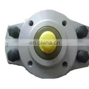 Original Quality HAWE Hydraulic Piston Pump R1.0 thumbnail-1