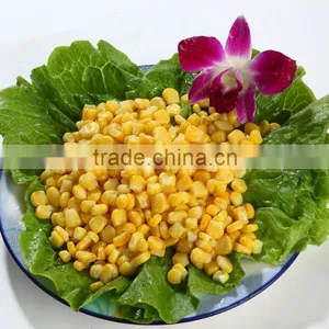 Fresh Corn Thresher TJ-368 thumbnail-3