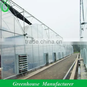 Galvanized Steel Truss Greenhouse thumbnail-1