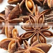 Anise Star thumbnail-1