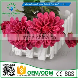 Greenflower 2016 Barberton Daisy Real Touch Two Herbaceous Peony Wedding Decrations Flowers thumbnail-4
