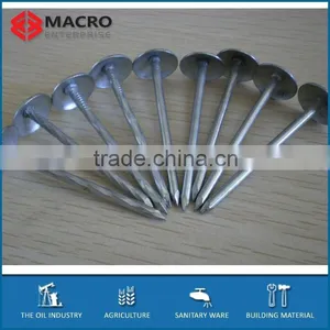 Electro Galvanized Roofing Nails Smooth Shank&twisted Shank thumbnail-1