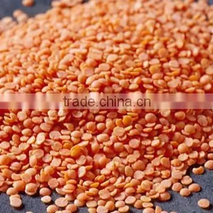 Best Quality DRIED Green Lentils | Red Lentils | Brown Lentils thumbnail-1