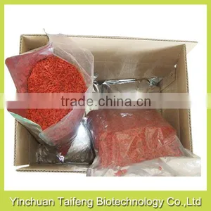 Organic Goji Berries in Low Price thumbnail-2