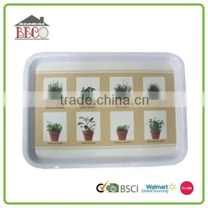 Eco-friendly Health Custom Melamine Tray thumbnail-1