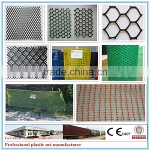 HDPE Plastic Geonet CE121 CE131 CE151 CE161 CE163 CE181 thumbnail-3