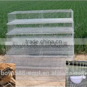 Full Equipped Quail Cages for Sale thumbnail-1