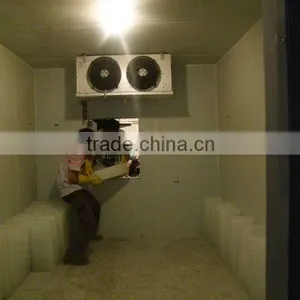 CBFI Container Used Cold Room Price for Nigeria thumbnail-2
