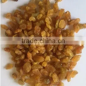 Varies Dried Raisins for Sale thumbnail-5