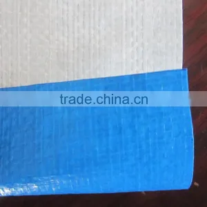 Blue/white Covering pp Tarpaulin - Plastic Canvas, PE Tarpaulin thumbnail-2