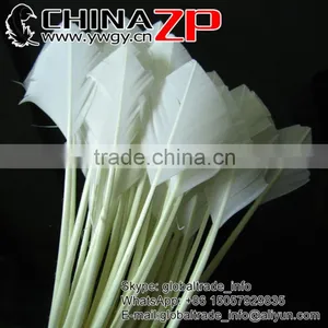 CHINAZP Plumage Leading Factory Exporting Handwork Trimed Arrow Shaped White Turkey Rounds Quill Feathers for Decorations thumbnail-3