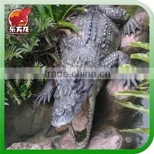 Moveable and Static Imitate Zoo Alligator Model thumbnail-1