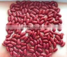 Canned Black Kidney Beans in Brine thumbnail-5