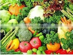 IQF Frozen Mixed Vegetables thumbnail-1