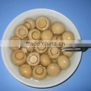 Canned Champignon Mushroom thumbnail-1