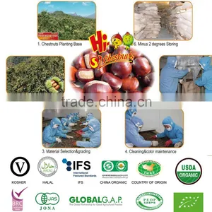 Eating Chinese Chestnuts thumbnail-6