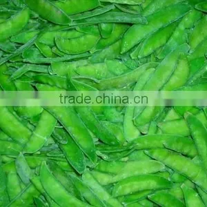 Frozen Pea Pod thumbnail-1