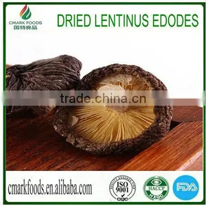 Dried Lentinus Edodes New thumbnail-1