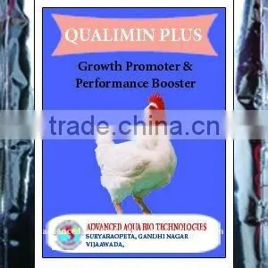 Poultry Feed Supplements thumbnail-1